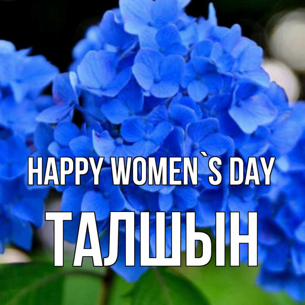 Greetings card с именем, ТАЛШЫН happy women`s day синие цветы Greetings with text for free download 